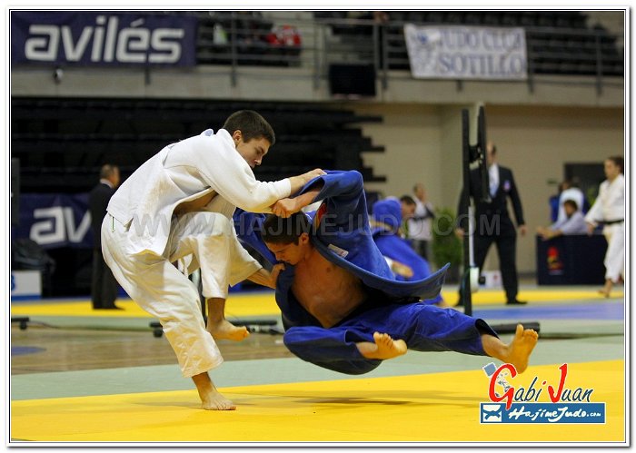 AVILES 2013120